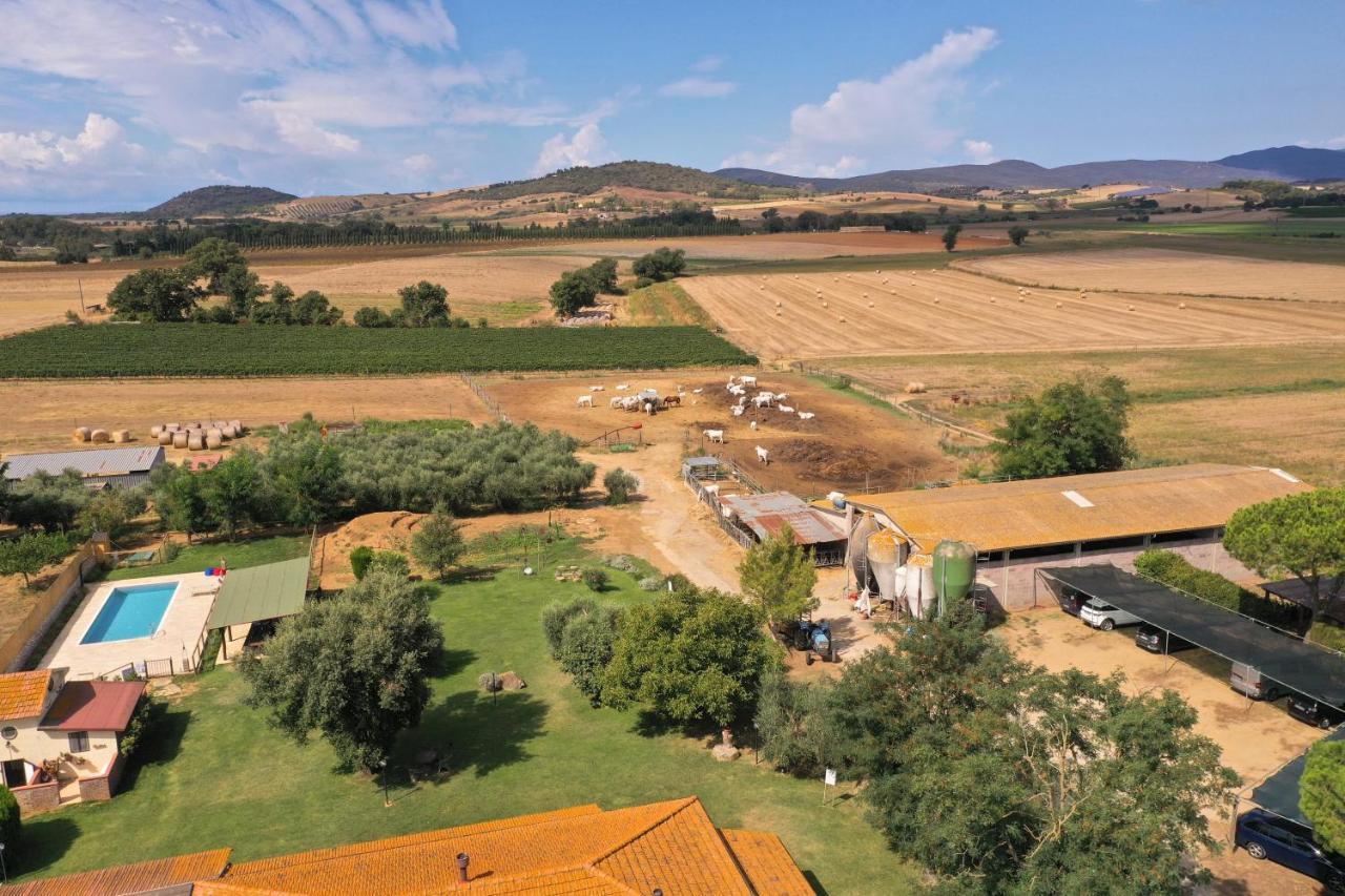 Agriturismo Al Girasole 산 도네토 외부 사진
