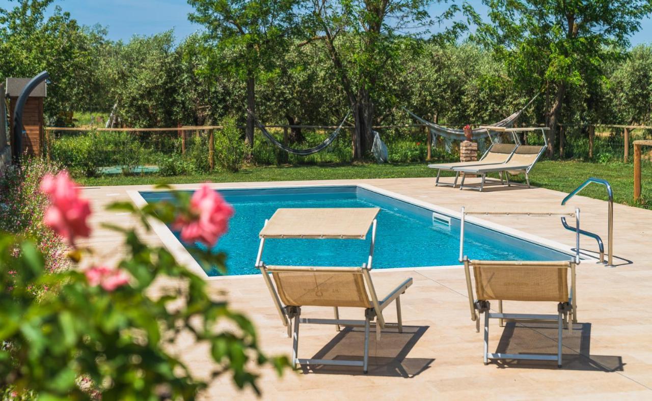 Agriturismo Al Girasole 산 도네토 외부 사진