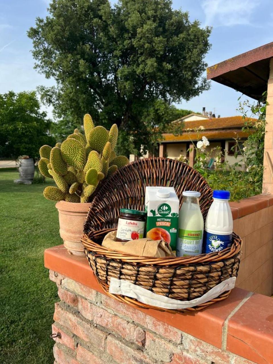 Agriturismo Al Girasole 산 도네토 외부 사진
