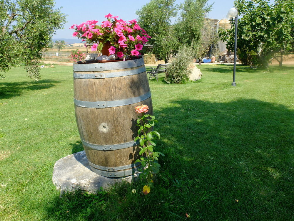 Agriturismo Al Girasole 산 도네토 외부 사진