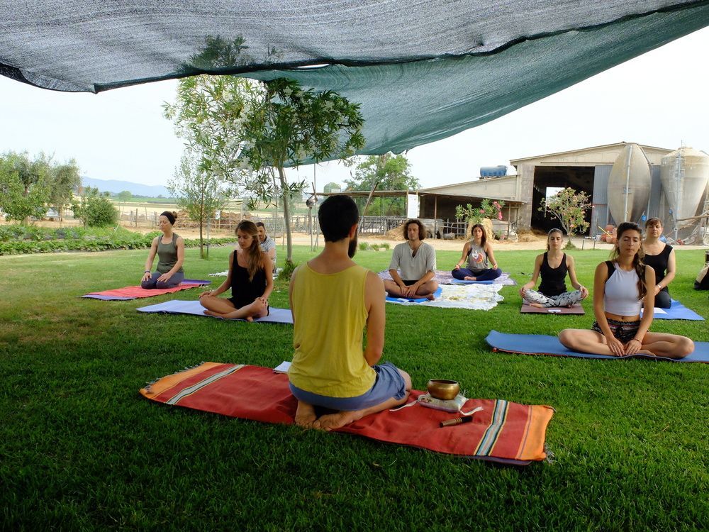 Agriturismo Al Girasole 산 도네토 외부 사진